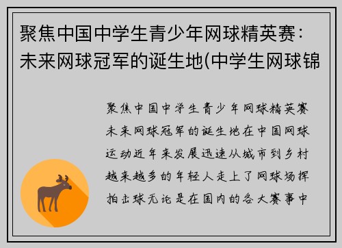 聚焦中国中学生青少年网球精英赛:未来网球冠军的诞生地(中学生网球锦标赛)