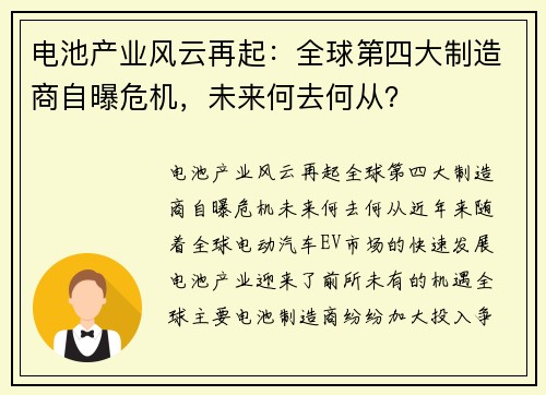 电池产业风云再起：全球第四大制造商自曝危机，未来何去何从？